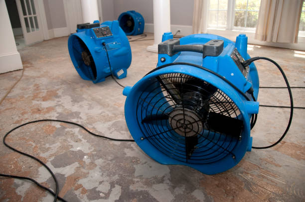 Best Flood damage cleanup  in Slatington, PA