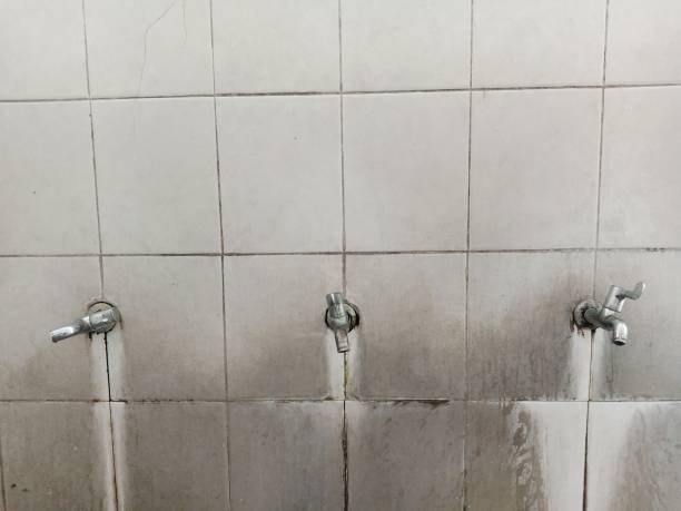 Best Basement water damage restoration  in Slatington, PA