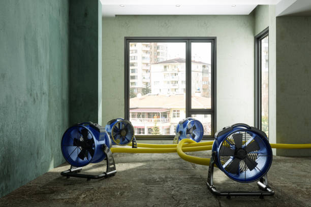 Best Emergency water damage restoration  in Slatington, PA